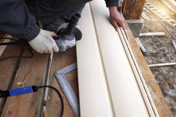 Best Siding for Multi-Family Homes  in Princeton, KY