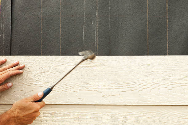 Best Wood Siding Installation  in Princeton, KY