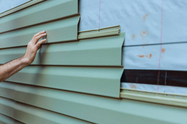 Best Siding Painting and Refinishing  in Princeton, KY
